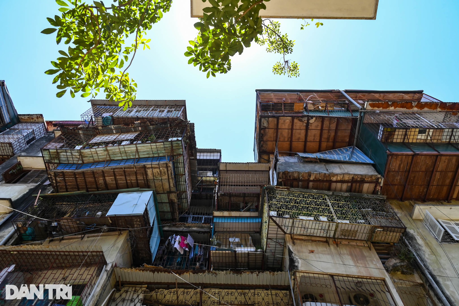 Nhà biến thành hầm ẩm thấp, dột nát tại chung cư tập thể cũ Hà Nội - 15 Nhà biến thành hầm ẩm thấp, dột nát tại chung cư tập thể cũ Hà Nội - 15