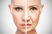 Phát hiện cơ chế chống lão hóa trong não người