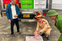 Xe tải chở 4 tấn gà đông lạnh không rõ nguồn gốc