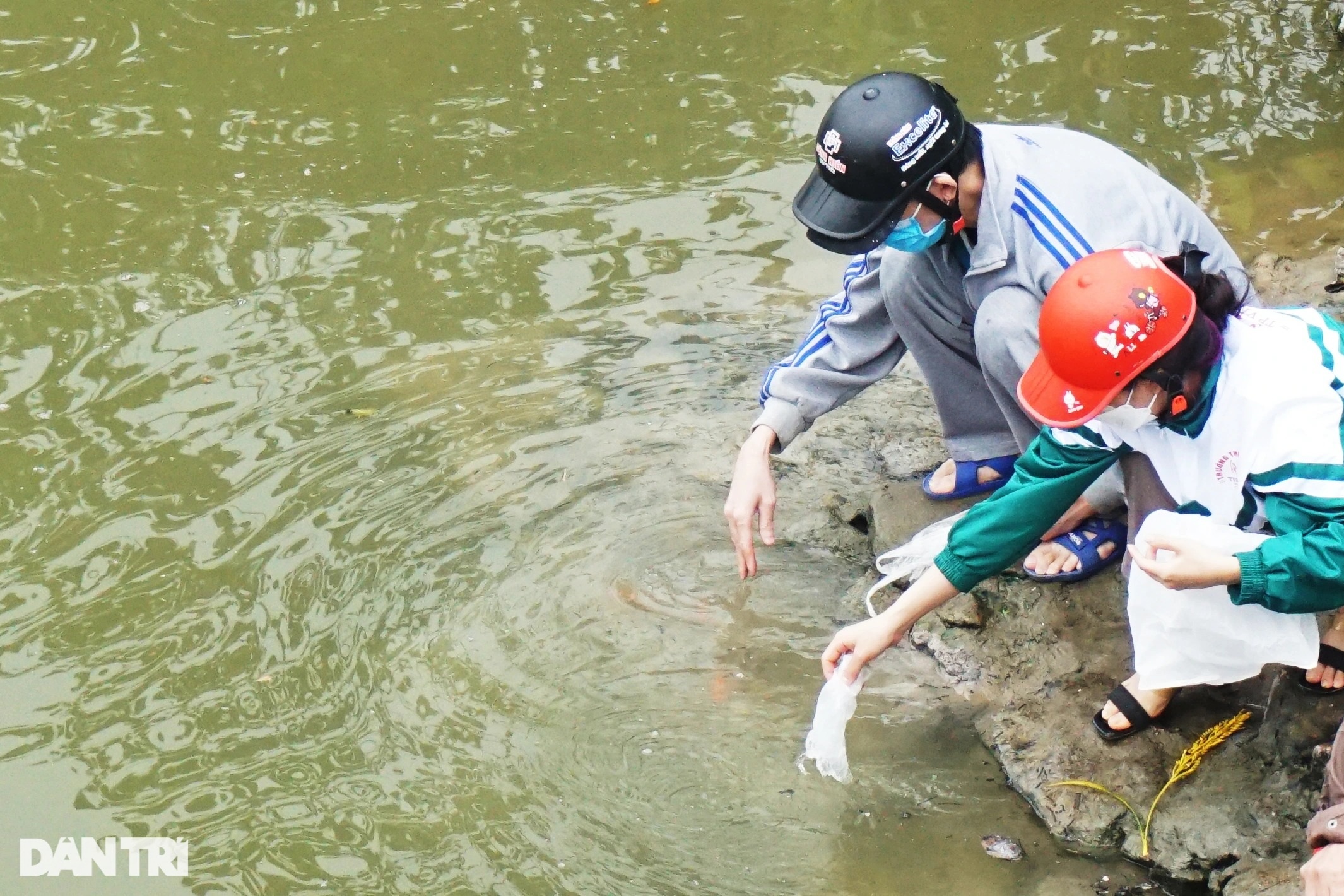 Phương tiện ông Táo chưa kịp về trời đã rơi vào lưới bát quái, kích điện - 9 Phương tiện ông Táo chưa kịp về trời đã rơi vào lưới bát quái, kích điện - 9
