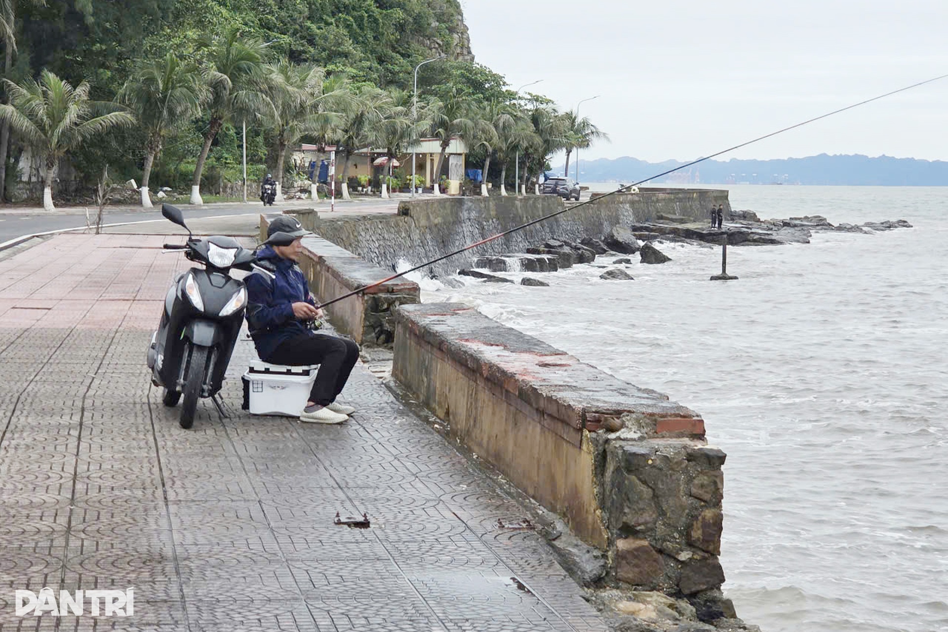 Bờ kè ở Đồ Sơn - Hải Phòng sụt lún sau bão - 10 Bờ kè ở Đồ Sơn - Hải Phòng sụt lún sau bão - 10