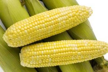 Thực phẩm biến đổi gen có thực sự an toàn?