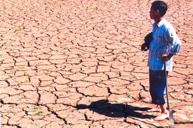 Công bố Chiến lược quốc gia về biến đổi khí hậu