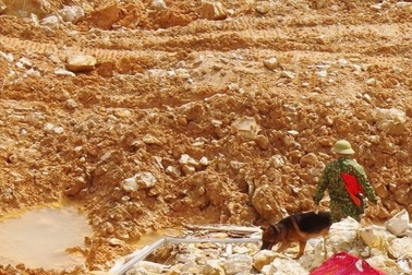 Xem chó nghiệp vụ tìm kiếm nạn nhân mất tích ở Rào Trăng 3