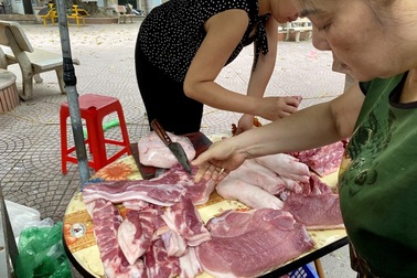 9.000 con lợn sống Thái Lan về Việt Nam bán ở đâu?