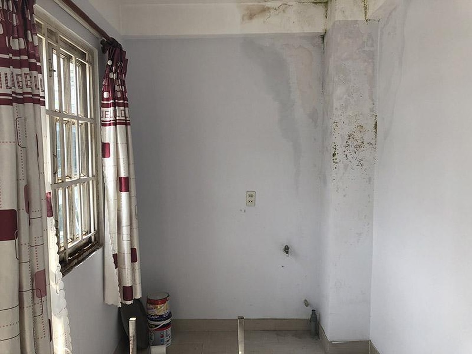 9X Bình Dương có sở thích tân trang nhà cửa theo mùa - 1 9X Bình Dương có sở thích tân trang nhà cửa theo mùa - 1