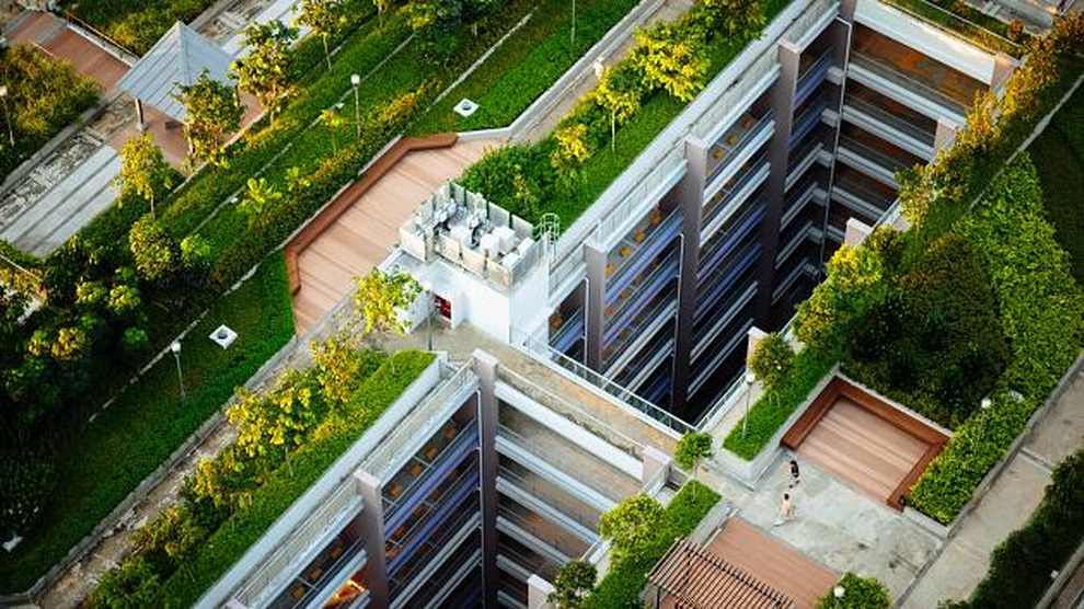 Nơi đầu tiên trên thế giới bắt người dân phải trồng cây trên mái nhà  - 1
