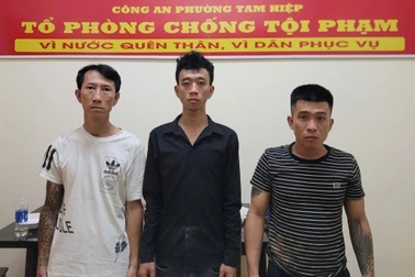 Bắt 3 nghi phạm đánh người đi đường ở Đồng Nai