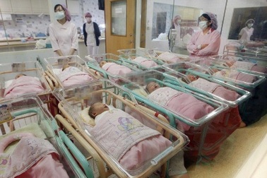 Bi kịch bị trao nhầm và cuộc tìm mẹ với cái kết buồn