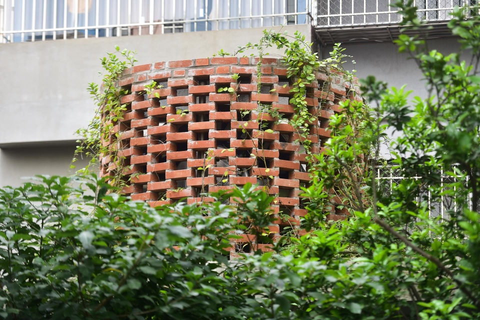 Nhà ống chật hẹp ở Hà Nội đẹp ấn tượng nhờ các khu vườn treo xanh mát - 10