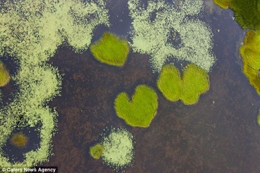 Độc đáo những "trái tim" của Mẹ Thiên nhiên