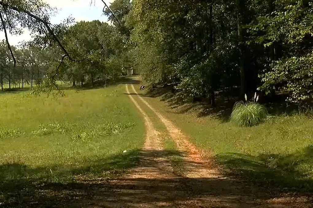 Cụ ông 81 tuổi bị 7 con pitbull cắn nguy kịch, chủ bầy chó nộp đơn kêu oan - 1 Cụ ông 81 tuổi bị 7 con pitbull cắn nguy kịch, chủ bầy chó nộp đơn kêu oan - 1