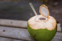 Uống nước dừa như thế nào để không gây hại?