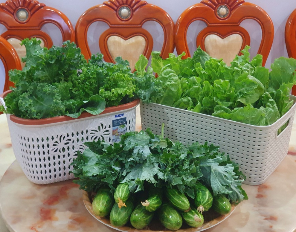 Vườn rau trái sum suê, thu hoạch mỏi tay của  nữ gia chủ ở Quy Nhơn - 13