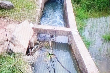 Bàng hoàng phát hiện thi thể người đàn ông dưới mương nước