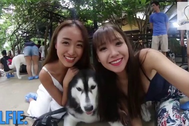 Cafe chó Husky giữa lòng Bangkok