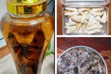 Mang bình rượu "quý" đi bán, nam thanh niên bị khởi tố