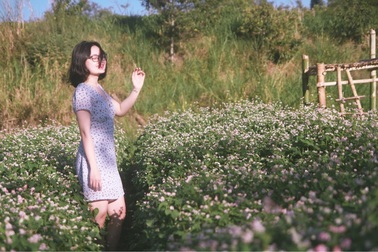 Đầu xuân, thiếu nữ "đua sắc" cùng hoa tam giác mạch xứ Bắc giữa lòng phố núi