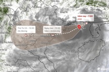 Từ đêm nay bão Wipha mạnh dần đạt cấp 11, giật cấp 14