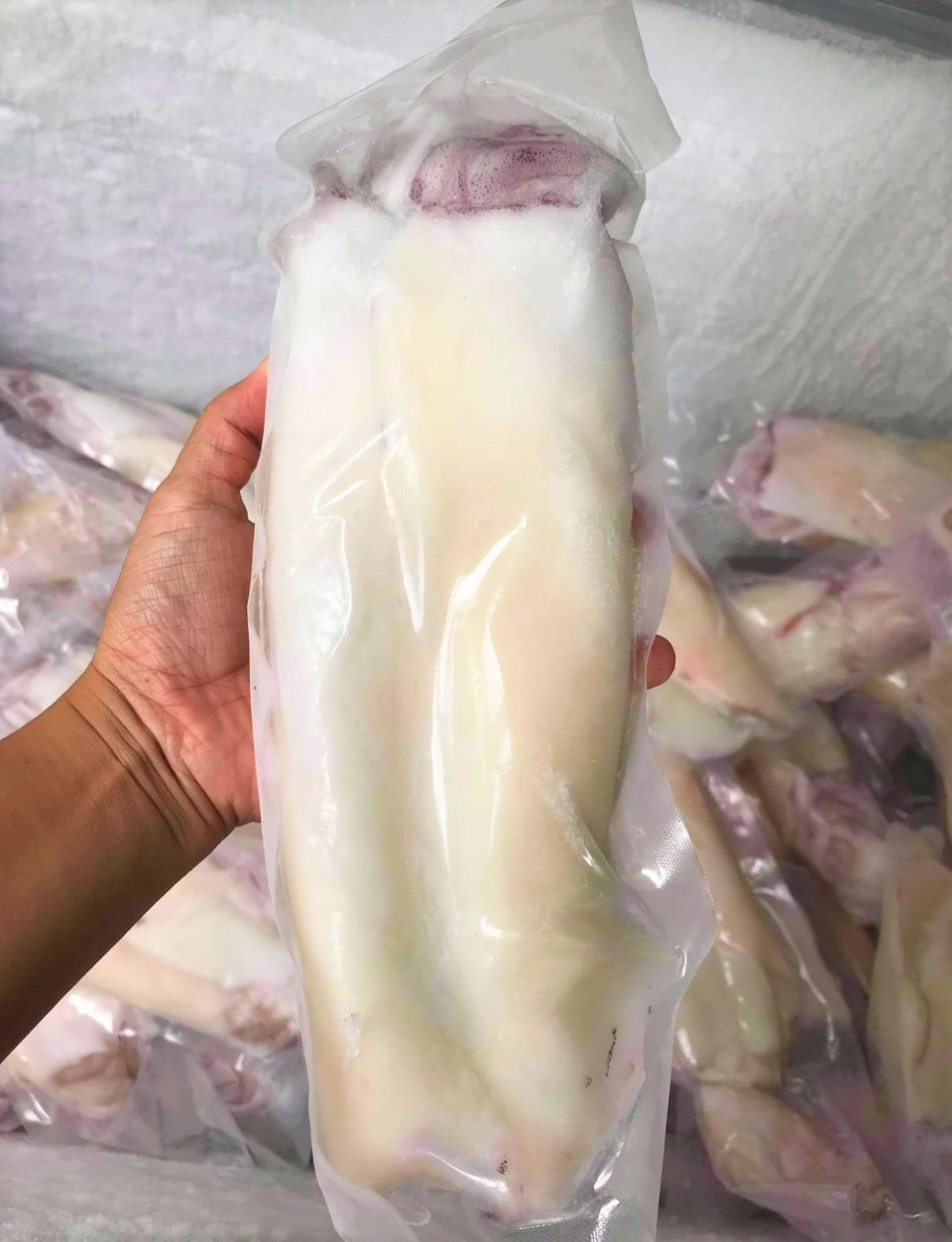 Tái dịch Covid-19: Nhiều doanh nghiệp chấp nhận mất oan tiền tỷ - 2