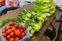 Cầm 20.000 đồng, bà nội trợ ở Hà Nội mua đủ rau cho cả nhà ăn một tuần