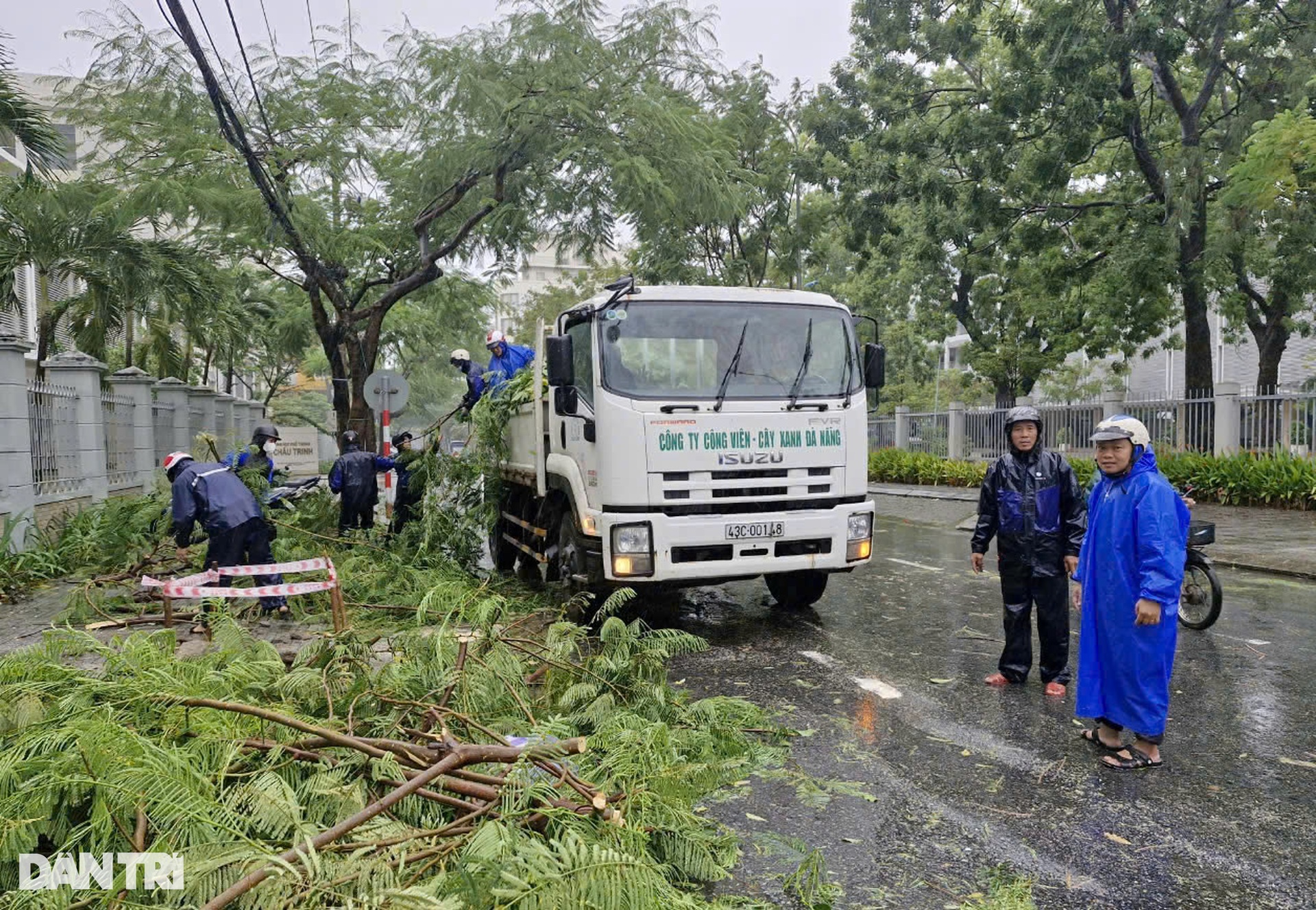 Cây đổ hàng loạt, sóng đánh tốc gạch vỉa hè ven sông Hàn do bão Trà Mi - 8