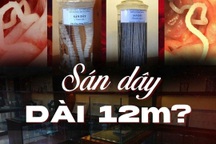 Độc lạ nơi lưu giữ những sinh vật dài hàng mét từng sống trong cơ thể người