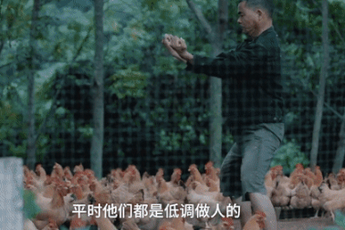 Đến nơi từ bà bán hoa quả cho tới người nuôi gà đều là bậc thầy võ thuật