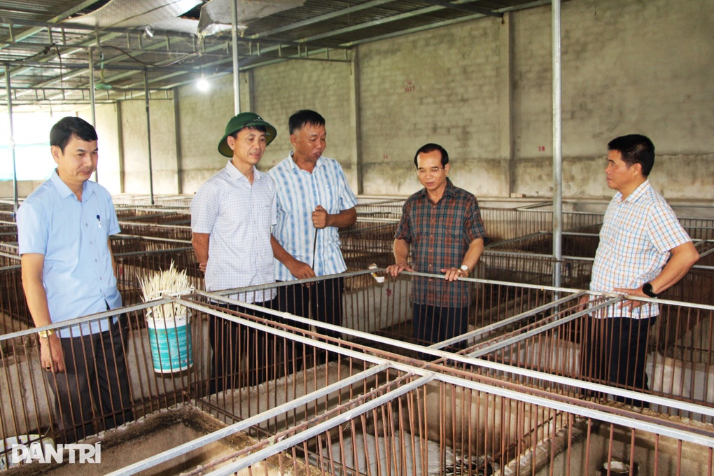 Nông dân thu trăm triệu đồng mỗi năm từ loài vật gai góc - 1 Nông dân thu trăm triệu đồng mỗi năm từ loài vật gai góc - 1