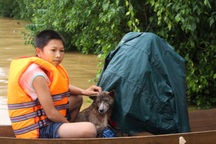 Ám ảnh cảnh chạy lụt ở vùng rốn lũ