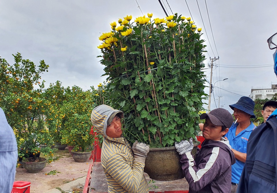Nghề bốc vác hoa Tết: Covid-19 khiến cả buổi làm không đủ tiền cà phê - 6 Nghề bốc vác hoa Tết: Covid-19 khiến cả buổi làm không đủ tiền cà phê - 6