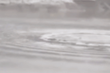 Trung Quốc phát hiện sinh vật lạ như "quái vật hồ Loch Ness"