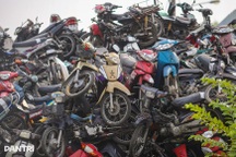 Sắp đấu giá hơn 1.200 xe máy vi phạm, giá từ 370.000 đồng/chiếc