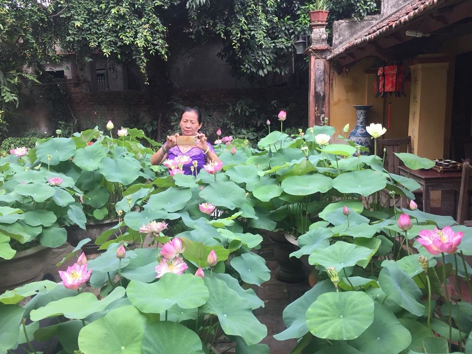 Nhà gỗ cổ “độc nhất” Bắc Bộ, bao quanh sân là vườn sen thơm ngát - 12 Nhà gỗ cổ “độc nhất” Bắc Bộ, bao quanh sân là vườn sen thơm ngát - 12