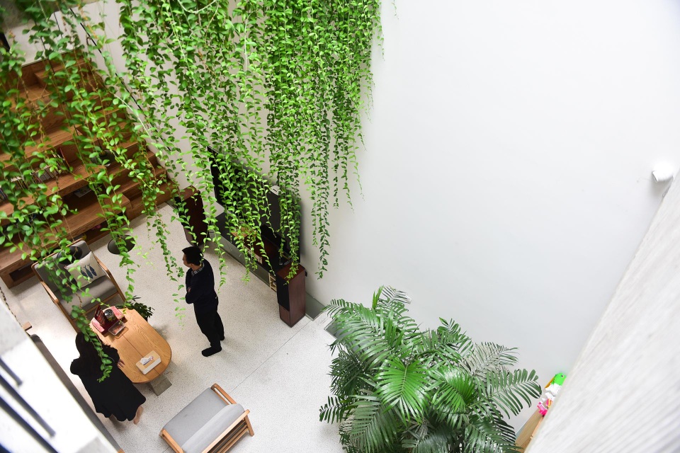 Nhà ống chật hẹp ở Hà Nội đẹp ấn tượng nhờ các khu vườn treo xanh mát - 9