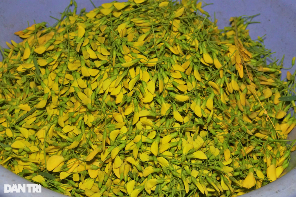 Soi đèn xuyên đêm gom bông điên điển mùa nước nổi - 1