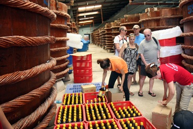 Khách quốc tế đến Việt Nam tăng trở lại