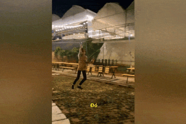 Quán ăn Đà Lạt "chơi trội", đu dây dài 45m phục vụ gà nướng bay