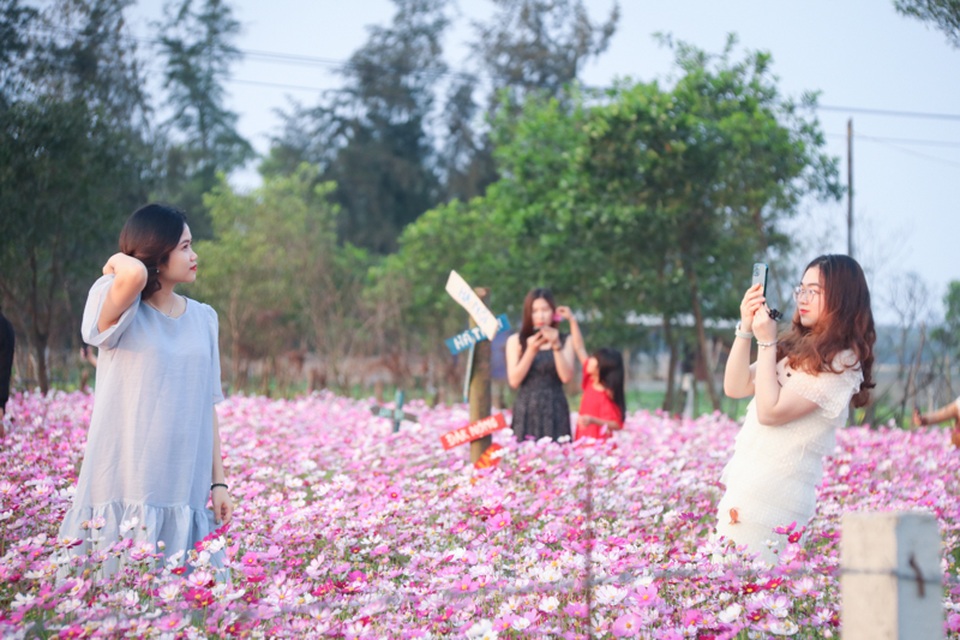 Trồng sao nhái thay dưa, chàng trai thu nhập hàng triệu đồng mỗi ngày - 6 Trồng sao nhái thay dưa, chàng trai thu nhập hàng triệu đồng mỗi ngày - 6