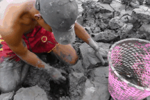 Xem chàng trai đào hố... bắt cá trên cạn