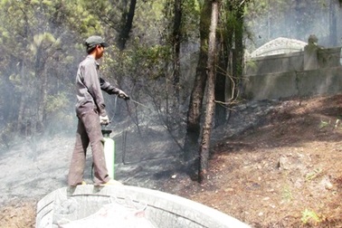 Rừng thông cháy lớn, hàng chục nhà dân suýt bị cháy theo