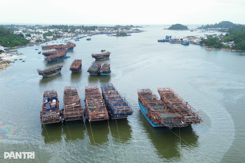Nhiều tàu cá nằm bờ, không được hỗ trợ nhiên liệu vì... tin nhắn - 1 Nhiều tàu cá nằm bờ, không được hỗ trợ nhiên liệu vì... tin nhắn - 1