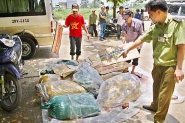 Bắt 2 tấn gà thải, 600kg nội tạng lợn nhập lậu