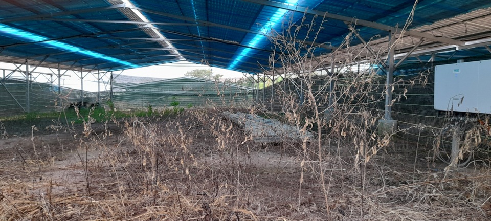 Đắk Lắk xử lý nghiêm việc lắp đặt điện mặt trời mái nhà sai quy định - 2 Đắk Lắk xử lý nghiêm việc lắp đặt điện mặt trời mái nhà sai quy định - 2