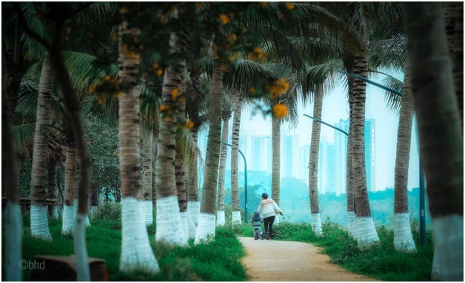 Vẻ đẹp “đến thổn thức” của Ecopark trong phút giao mùa - 11 Vẻ đẹp “đến thổn thức” của Ecopark trong phút giao mùa - 11