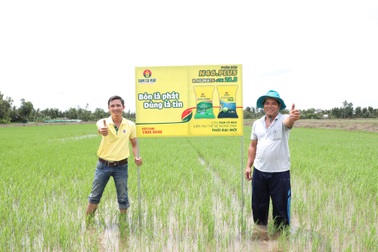 Đạm Cà Mau triển khai chương trình trải nghiệm giải pháp canh tác “đột phá” tại ĐBSCL