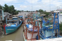 Chi “khống” tiền, Giám đốc cảng cá bị kỷ luật