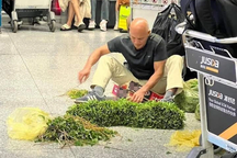 Ở Việt Nam rẻ bèo, sang Mỹ rau muống đắt hơn thịt lợn