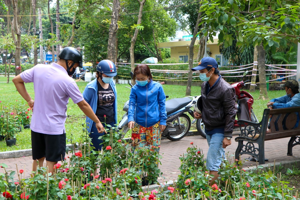 Chợ hoa Xuân ngày cuối năm: Bán tháo đồng giá - 8 Chợ hoa Xuân ngày cuối năm: Bán tháo đồng giá - 8