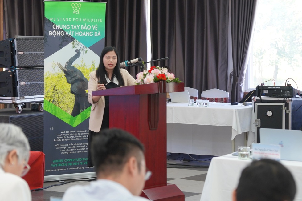 Buôn bán động vật hoang dã liên quan gì đến rửa tiền, ESG? - 2